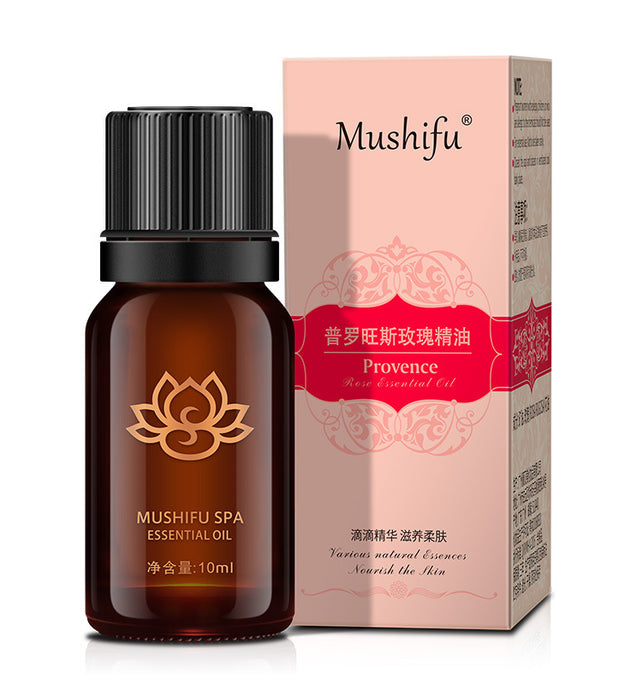 MSF Aromatherapy Essential Oil