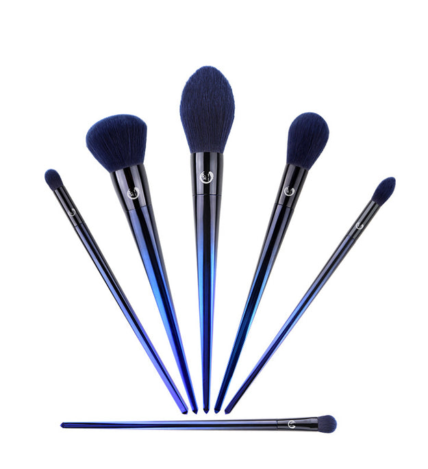 Eye and Face Loose Powder High Gloss Blush Smudge Makeup Brush Set