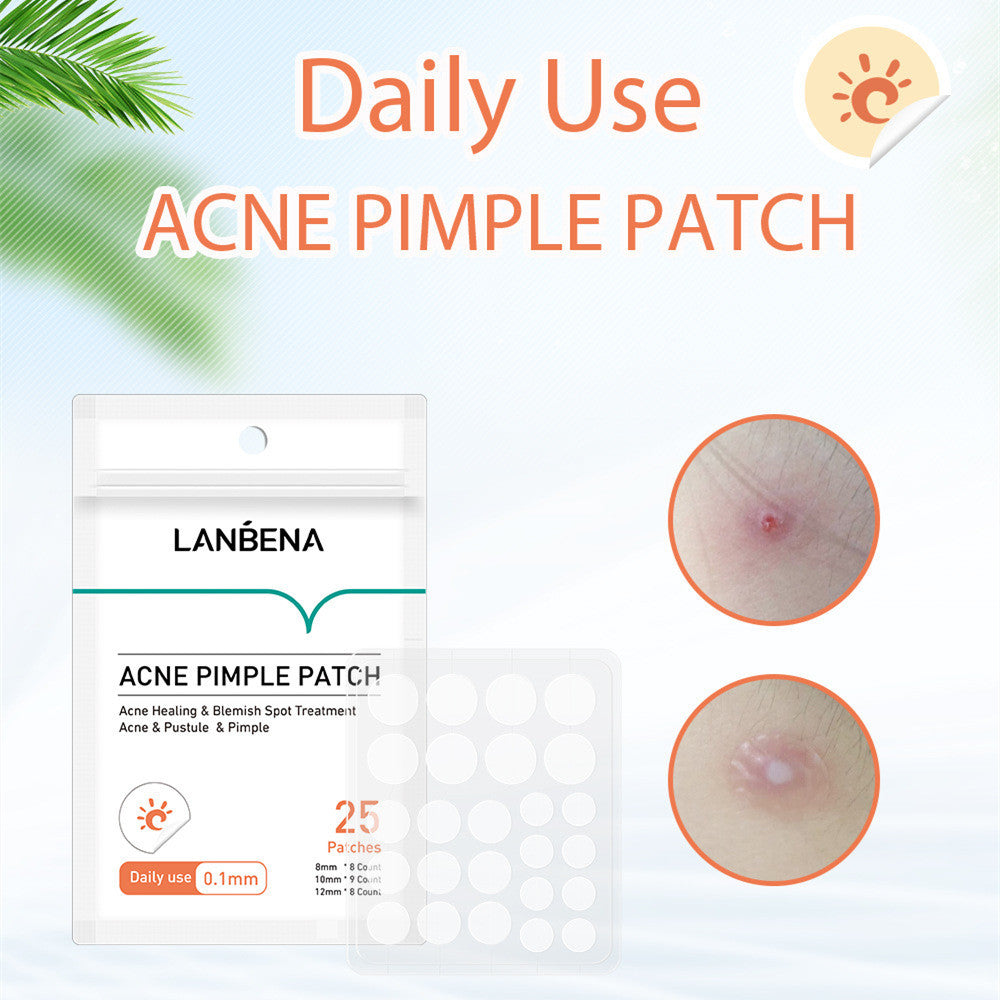 Tea Tree Daily And Night Acne Aste To Reduce