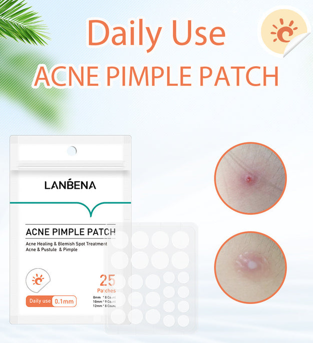 Tea Tree Daily And Night Acne Aste To Reduce