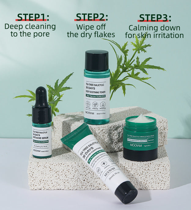 Tea Tree Acne Removing Box Skin Care Set