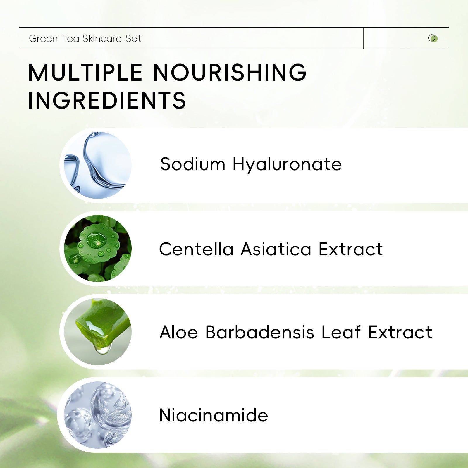 Green Tea 5-piece Facial Care